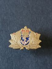 Royal Navy, gold coloured, lapel pin badge.