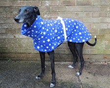 Greyhound / Lurcher / Whippet