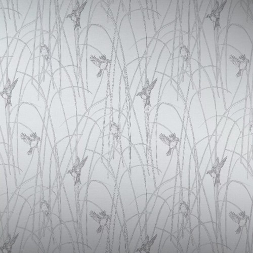 Osbourne little reedbirds - osbourne, &