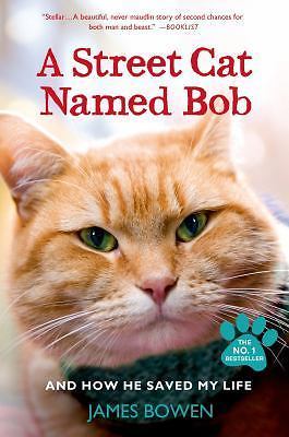 Street cat named bob - bob, and