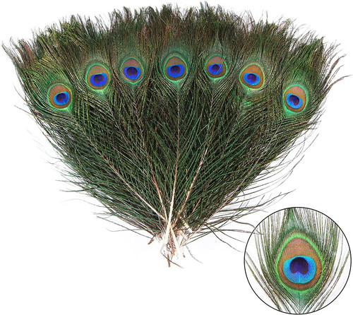 12pcs peacock feather natural - peacock,