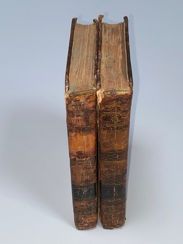 Antiquities the anglo saxon - the, anglo-saxon