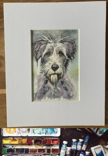 Irish wolfhound original - irish,