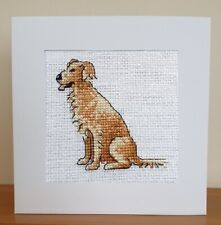 Golden Retriever - Dog Cross