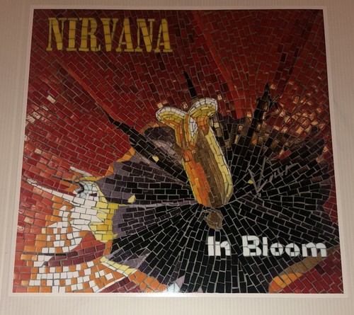 Signed krist novoselic nirvana - krist,