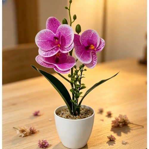 Realistic phalaenopsis orchid - realistic,