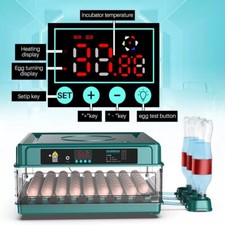 Egg Incubator Hatching Machine