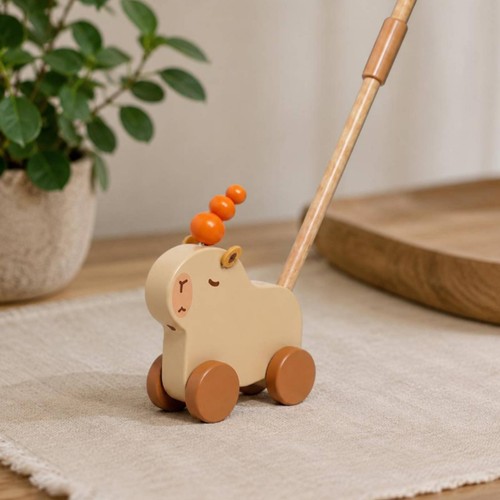 Baby push stroller early - stroller,