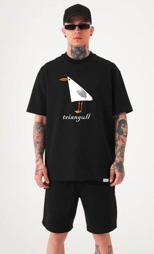 Triangull seagull shirt - seagull, t-shirt