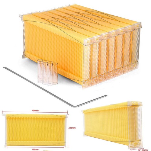 Auto bee frames - auto,