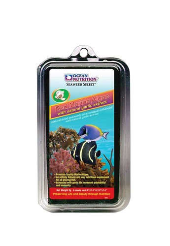 Ocean nutrition seaweed red - ocean,