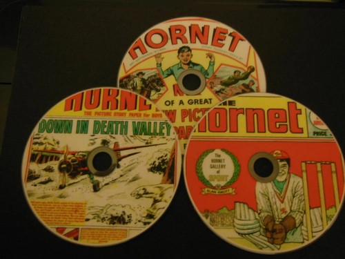 Classic complete hornet - complete,