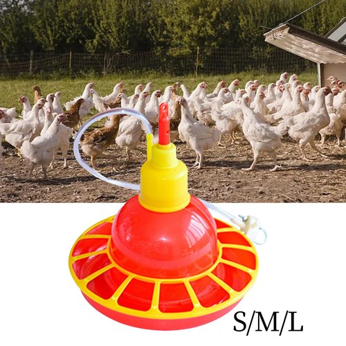 Automatic chicken waterer - automatic,