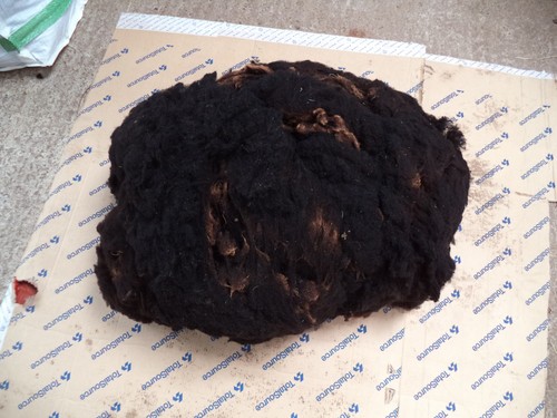 Whole spinning sheep fleece - whole,