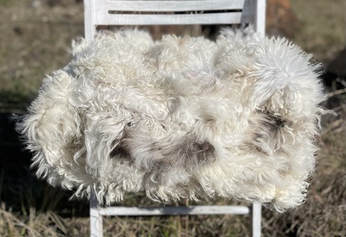 Xxl merino lambskin blanket - merino,