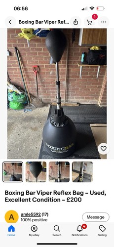 Professional punch bag with - professional,