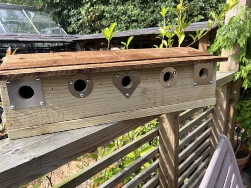 Sparrow nest box - nest, colony