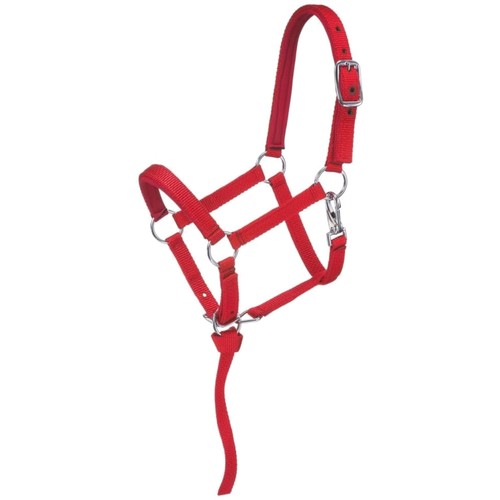 Mini horse halter - mini,