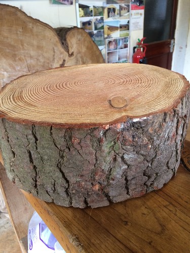 Rustic log slice - rustic,
