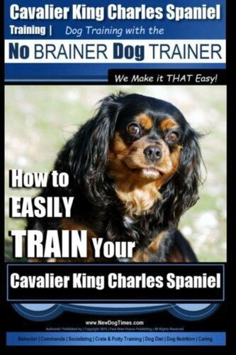Cavalier king charles spaniel - king,