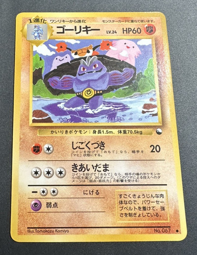 Pokemon machoke 067 - machoke, lv.24