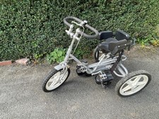 Theraplay Terrier Hitch Special Needs Trike Tricycle + Towalong Trailer