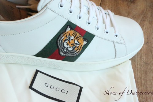 Gucci ace tiger motif white - ace,