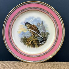 ANTIQUE VICTORIAN KESTREL BIRD
