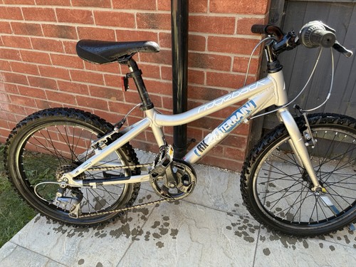 Ridgeback boys mountain bike - ridgeback,