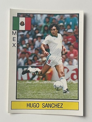 Unused original panini - original,