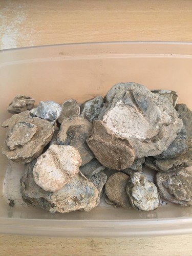 Roman pot mends found - roman,