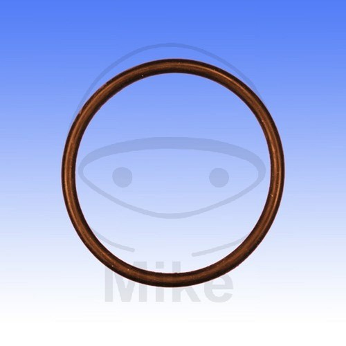 Valve seal ring 3x44mm - valve,