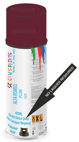 Car spray paint - car,