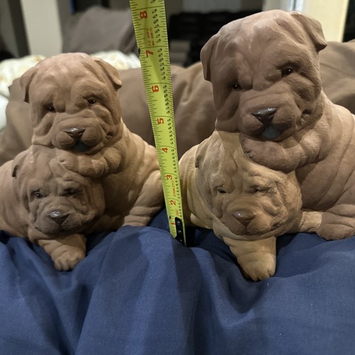 Lot shar pei puppies - shar,