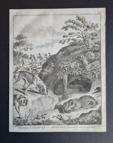 Antique 1792 british sporting - antique,