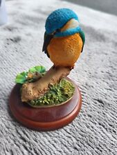 border fine arts kingfisher