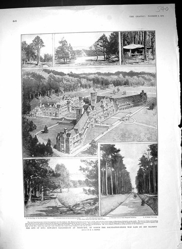 Old 1903 king edwards - king,
