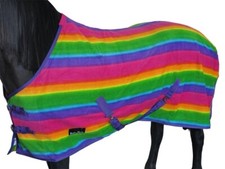 Horse Masters Rainbow Design