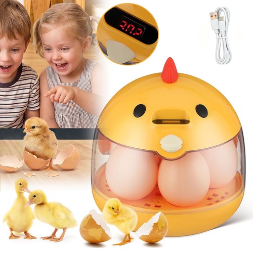 Automatic egg incubator with - automatic,