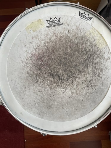 Pearl brass shell - pearl,