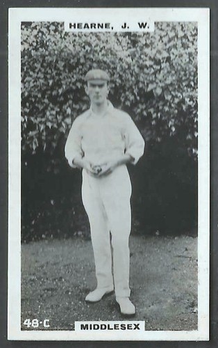 Phillips cricketers brown back - phillips-cricketers,