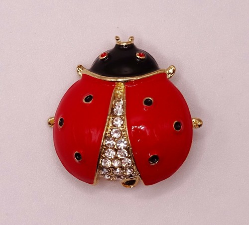 Diamante ladybird ladybug - ladybird,
