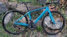 Canyon Endurance CF SL 8, new