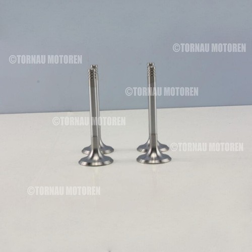 Intake valve kit - valve, audi
