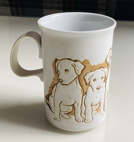 Labrador retriever with - labrador,