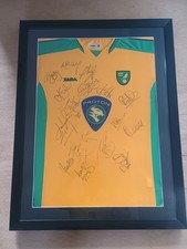 Professionally framed Norwich