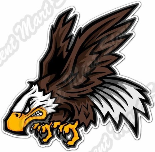 Eagle mascot sport - sport, usa