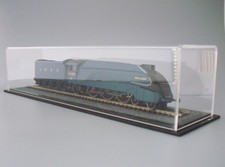 Display Case with track for OO