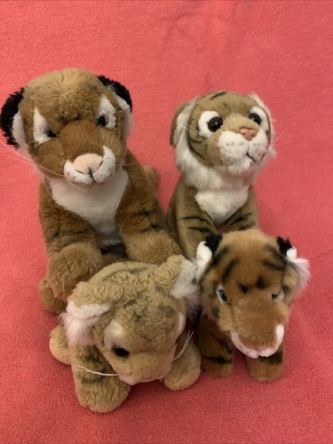 Tiger cubs brothers sisters - cubs,