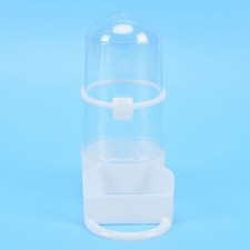 Bird pet drinker feeder - bird,